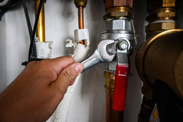 Best Affordable Plumbing Services  in Whitestown, IN